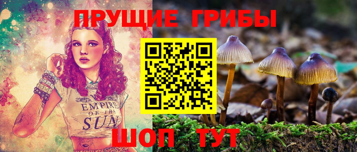Югорск  Галлюциногенные грибы Psilocybine cubensis  Псилоцибиновые грибы Magic Shrooms  Вход с VPN 